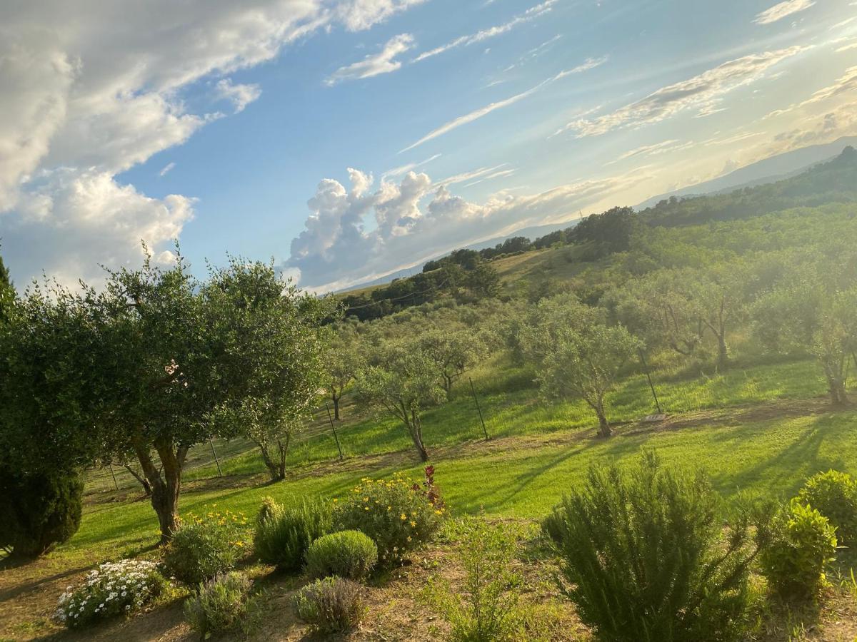 Agriturismo Palazzo Val Del Sasso Villastrada  Exterior foto